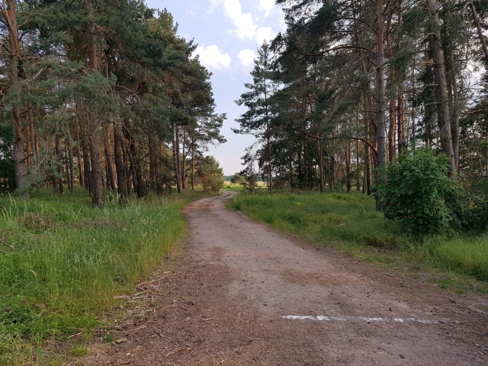 Start der 400-m-Laufstrecke in Aken